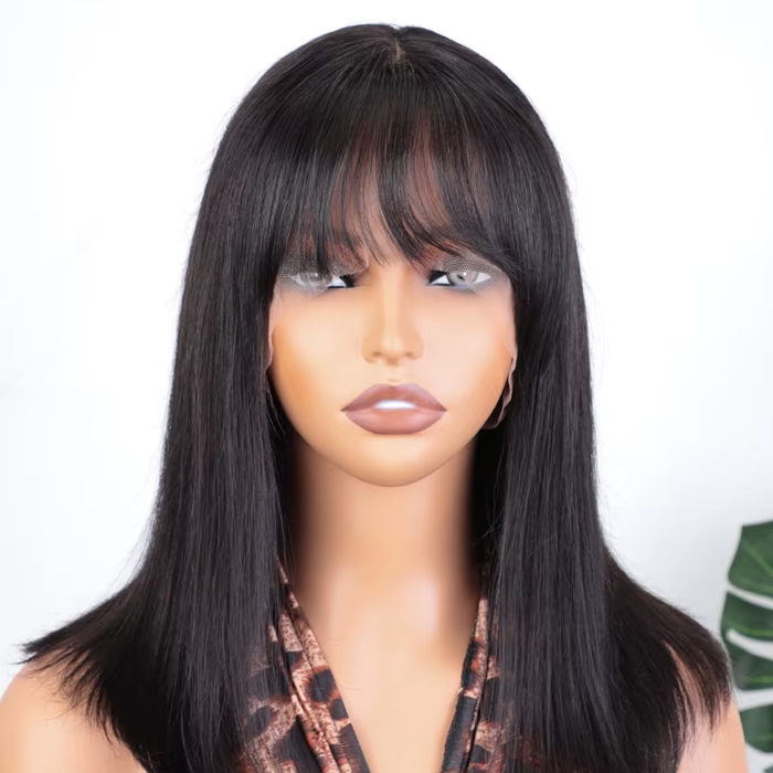 Sleek Straight Middle Part Wig